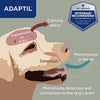 ADAPTIL Calm On-The-Go Dog Collar