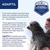 ADAPTIL Calm On-The-Go Dog Collar