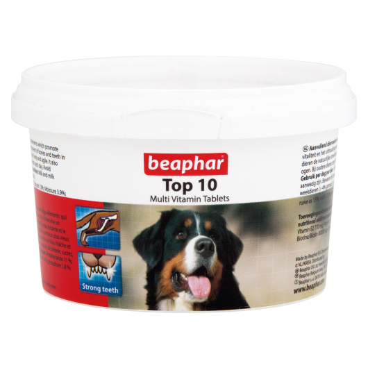 Essential vitamins for 2024 dogs