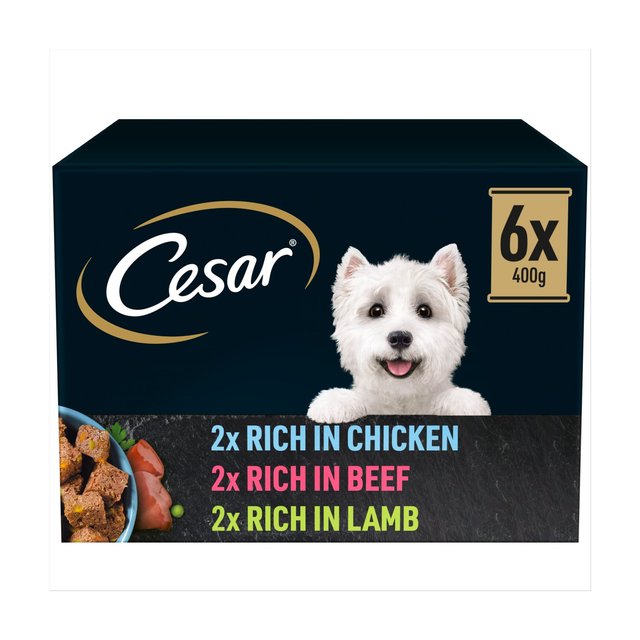 Cesar Natural Goodness Mixed Selection In Loaf Can Food for Dogs - 400g