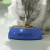 A cat is eating a Purina One Adult Cat Mini Fillets In Gravy