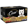 Cesar Country Stew Special Selection Wet Food for Dogs - 150g (Pack of 8)