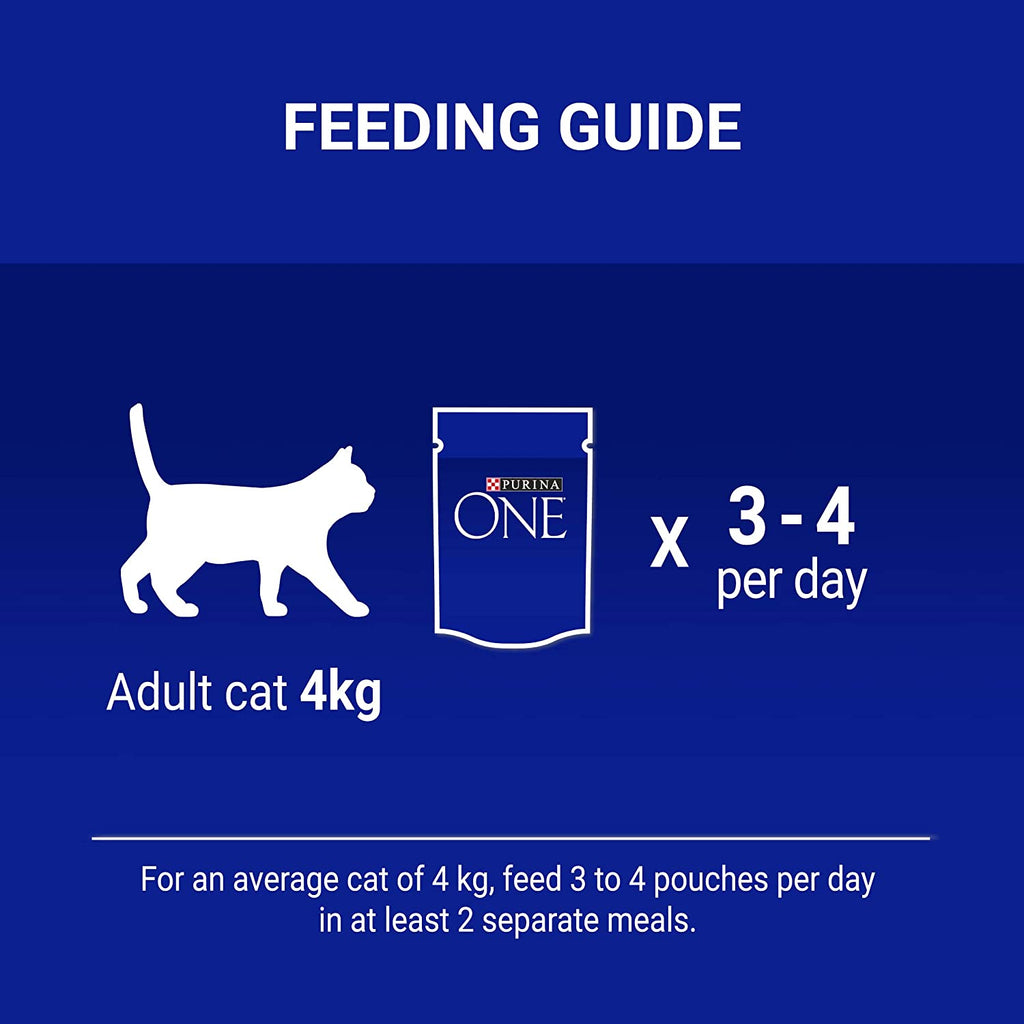 Purina One Adult Cat Mini Fillets In Gravy