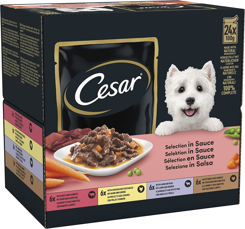 Cesar Deliciously Fresh Favourites In Sauce Wet Dog Food Pouches