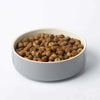 Harringtons Just 6 Chicken Complete Dry Dog Food - Kibble