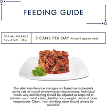 Gourmet Solitaire Beef In Tomato Sauce Wet Cat Food