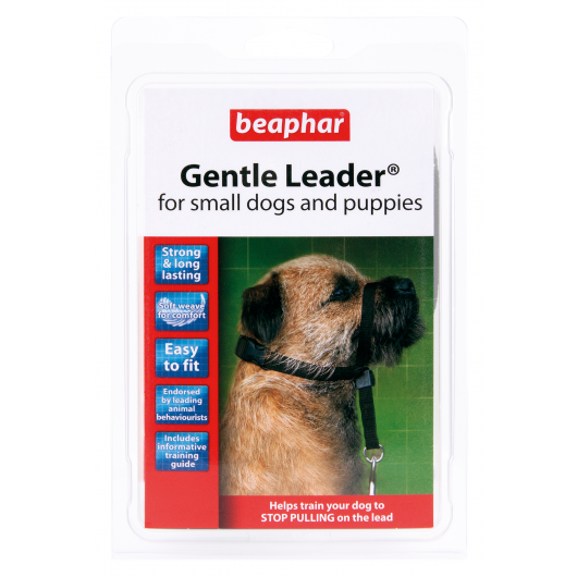 Gentle leader online dog head collar