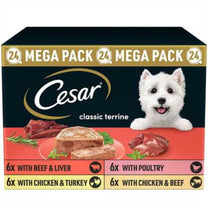 Cesar Classics Terrine Mixed Selection - 24x150g