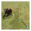 Agility Slalom Poles Dog Activity Training Toy - Pack of 5