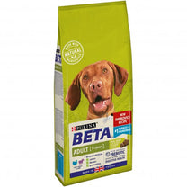 Purina Beta Turkey & Lamb Food for Dogs