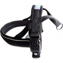 Hem & Boo Padded Reflective Harness