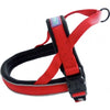 Hem & Boo Padded Reflective Harness