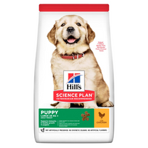 Hill's Science Plan Puppy Large Breed Dry Dog Food Chicken Flavour