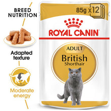 Royal Canin British Shorthair Adult Dry Cat Food