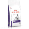 Royal Canin Adult Medium Dry Dog Food Skin Digest