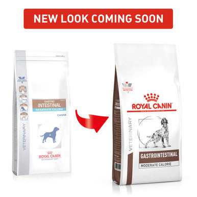 Royal canin intestinal dog food sale