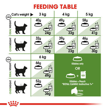 Royal Canin Outdoor +7 Adult Dry Cat Food