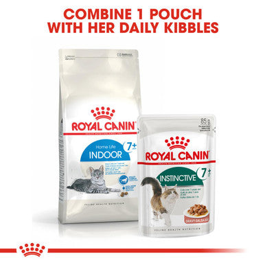 Royal canin best sale indoor adult