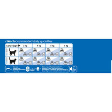 Royal Canin Indoor +7 Adult Dry Cat Food