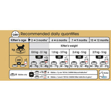 Royal Canin Kitten British Shorthair Dry Cat Food