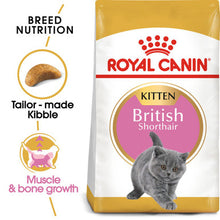 Royal Canin Kitten British Shorthair Dry Cat Food