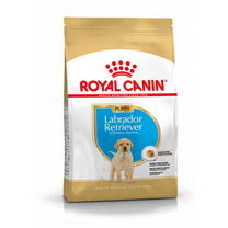 Royal Canin Labrador Retriever Large Puppy Dry Dog Food