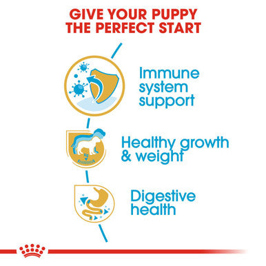 Royal Canin Labrador Retriever Large Puppy Dry Dog Food
