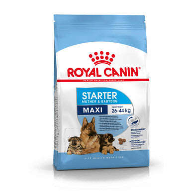 Royal Canin Starter Maxi Mother and Babydog Dry Dog Food