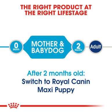 Royal Canin Starter Maxi Mother and Babydog Dry Dog Food