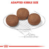 Royal Canin Medium Puppy Dry Dog Food - Adaptable Kibble Size