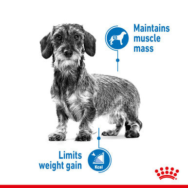 Royal Canin Mini Light Weight Care Adult Dry Dog Food