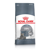 Royal Canin Dental Care Adult Dry Cat Food