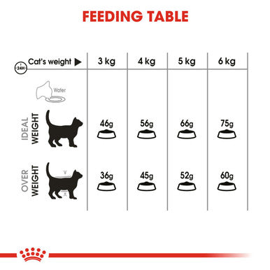 Royal Canin Dental Care Adult Dry Cat Food