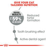 Royal Canin Dental Care Adult Dry Cat Food