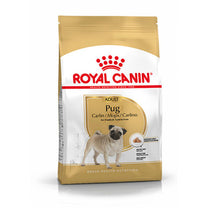 Royal Canin Pug Adult Dry Dog Food