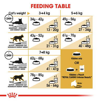 Royal Canin Ragdoll Adult Dry Cat Food