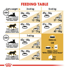 Feeding table of Royal Canin Ragdoll Adult Dry Cat Food 