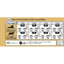 Royal Canin Siamese Adult Dry Cat Food