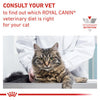 Royal Canin Veterinary Diet Gastrointestinal Moderate Calorie Adult Dry Cat Food