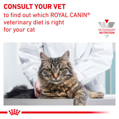 Royal Canin Veterinary Diet Hypoallergenic DR 25 Dry Cat Food
