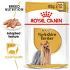 Royal Canin Yorkshire Terrier Adult Dry Dog Food