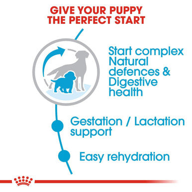 Royal Canin Medium Starter Mother Babydog AdultPuppy Dry Dog Food