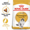 Royal Canin Bread Norwegian Forest Adult Dry Cat Food