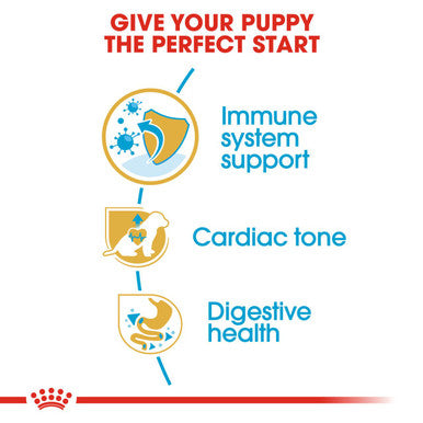 Royal canin puppy outlet cavalier king charles