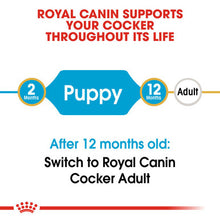 After 12 months old switch to Royal Canin Spaniel Cocker Puppy Dry Dog Food 