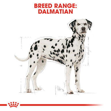 Royal Canin Dalmatian Adult Dry Dog Food