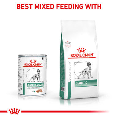 Royal Canin Diabetic Special Adult Wet Dog Food