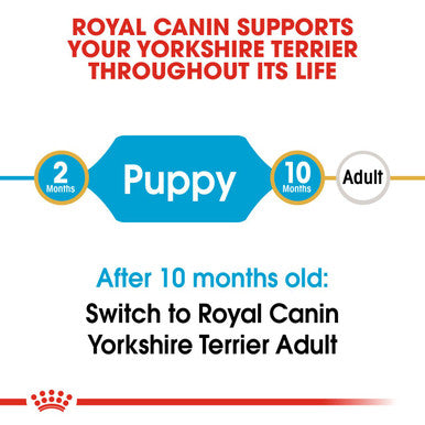 Royal canin dog hotsell food yorkshire terrier puppy