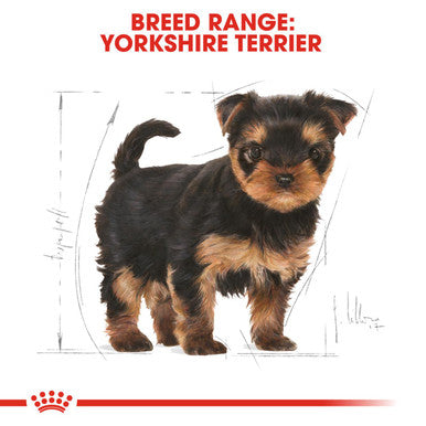 Royal Canin Yorkshire Terrier Puppy Dry Dog Food