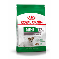 Royal Canin Mini Ageing 12+ Senior Dry Dog Food